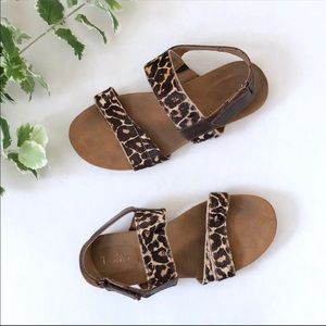 Toms Tierra Sandals Leopard Print Calf Hair Size 7